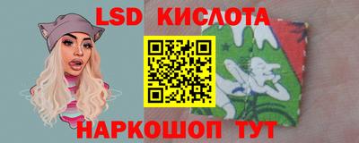 СК Абакан