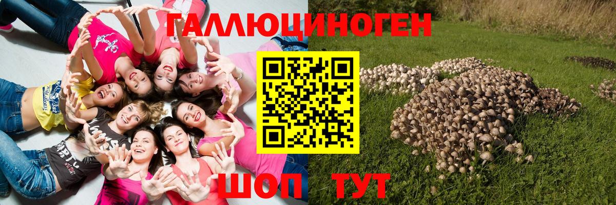 Галлюциногенные грибы GOLDEN TEACHER  Псилоцибиновые грибы прущие грибы  Первоуральск  Вход с VPN 